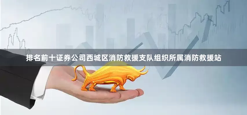 排名前十证券公司西城区消防救援支队组织所属消防救援站